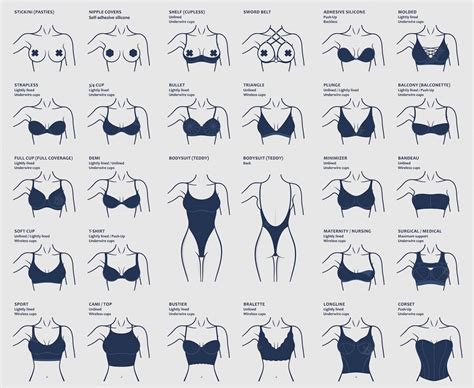 Breast Shapes and Sizes: Everything You Need to Know .